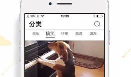 逗乐视频,欢乐无限，笑点爆棚的喜剧盛宴